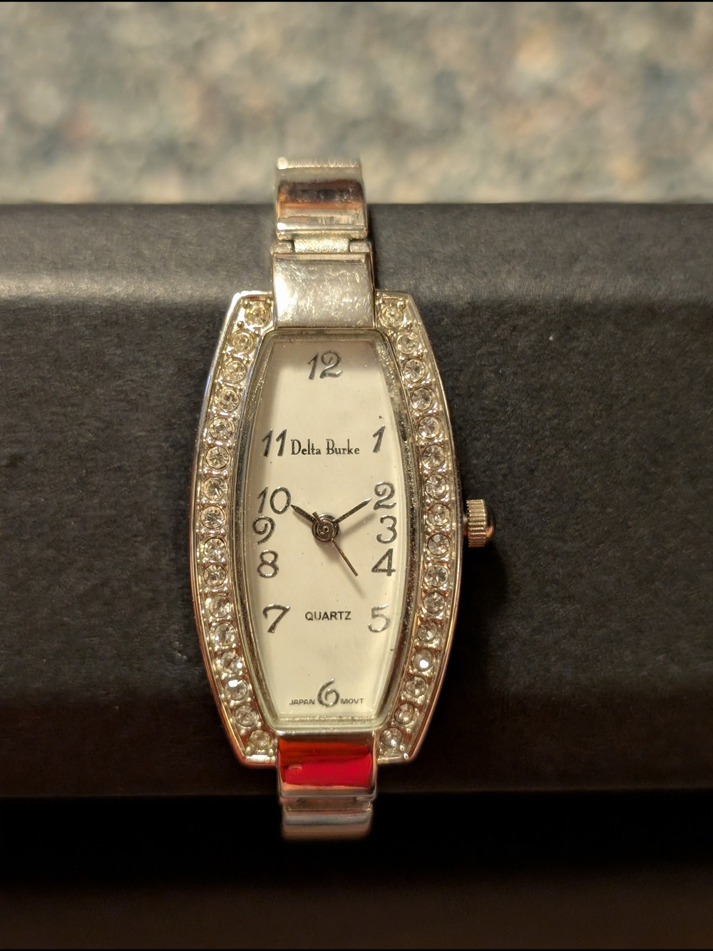 Delta Burke Women's Silver Crystal-Accent Quartz Watch